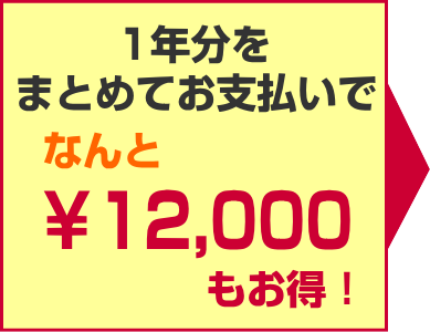 1年まとめ払い12,000円お得